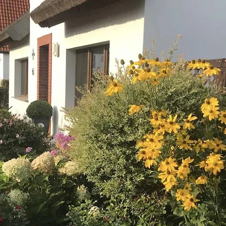 Ferienhaus Rosi Kollwitz 펜션 히덴제